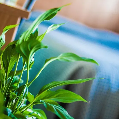 Baviera Szálloda 3*